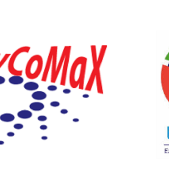 4th Workshop on Studies of Dynamically Compressed Matter with X-rays