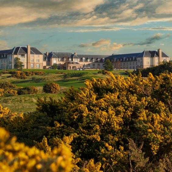 Copie de Copie de 52nd Annual Anomalous Absorption Conference